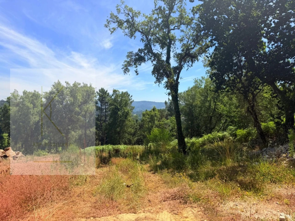 Terreno para Venda em Fornelos e Queijada Foto 9
