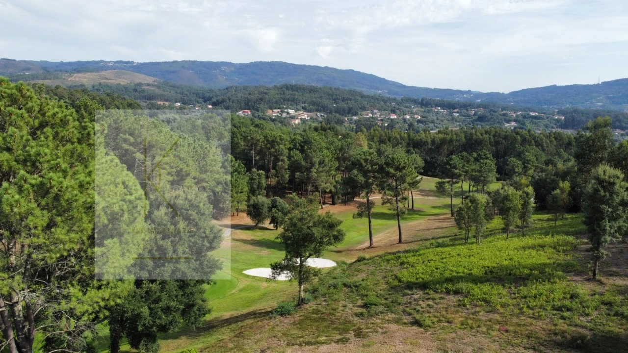 Terreno para Venda em Fornelos e Queijada Foto 16