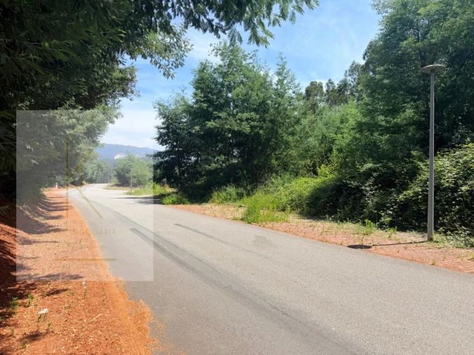 Terreno para Venda em Fornelos e Queijada Foto 5