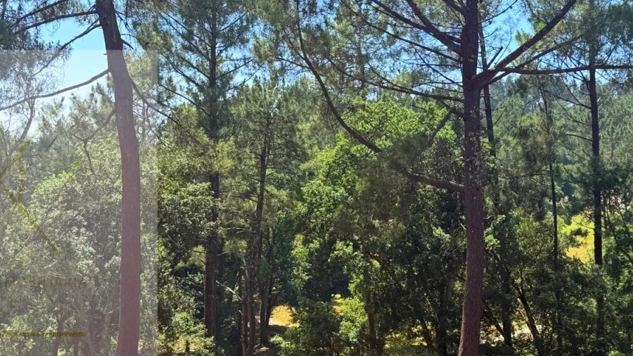 Terreno para Venda em Fornelos e Queijada