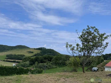 Moradia T4 para Venda em Ribeirinha