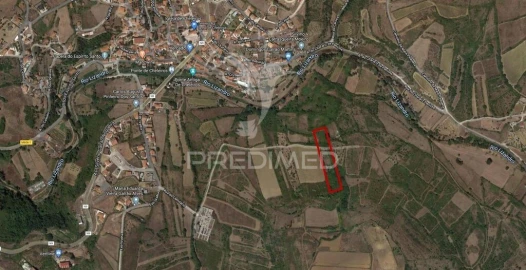Terreno para Venda em Igreja Nova e Cheleiros