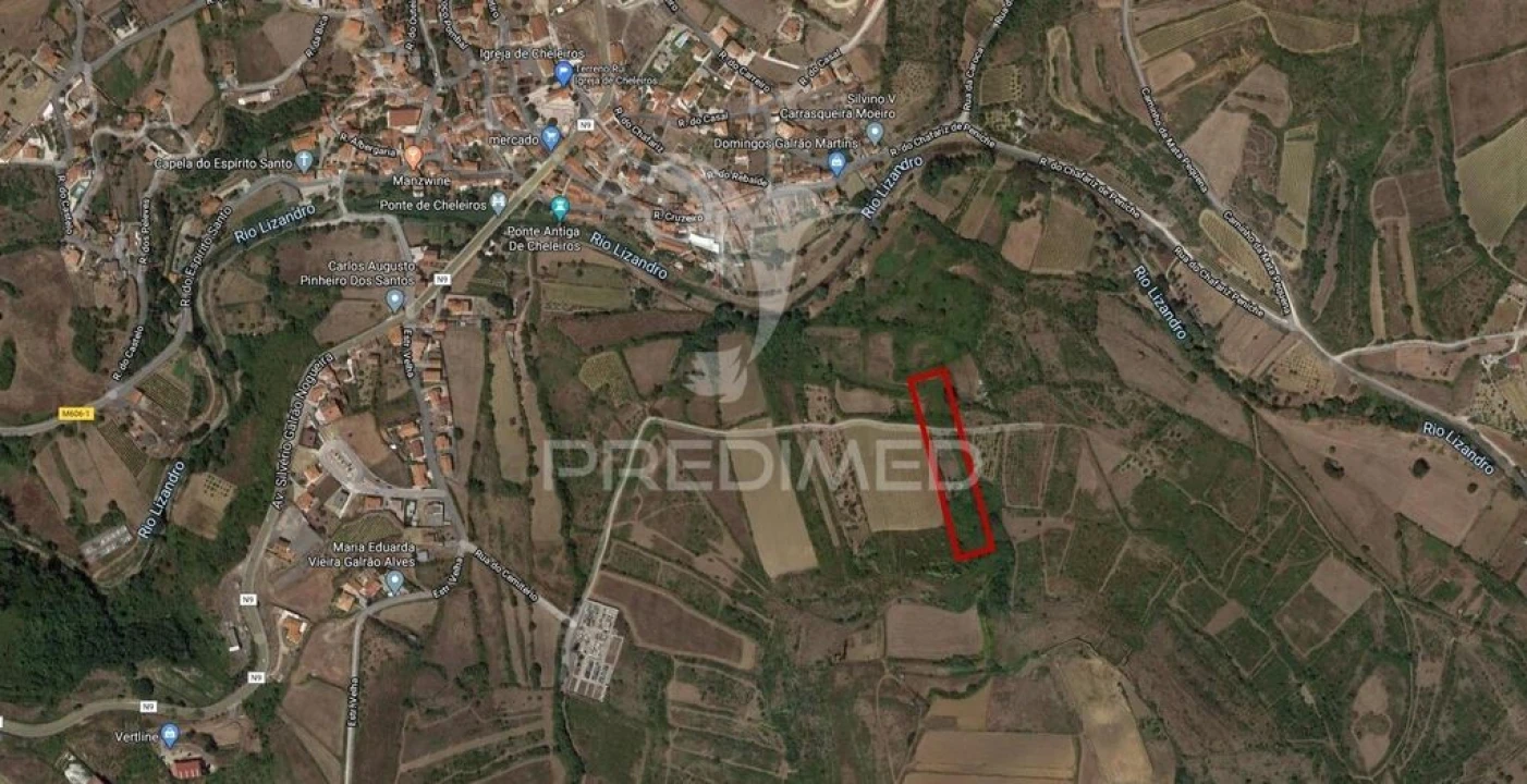 Terreno para Venda em Igreja Nova e Cheleiros Foto 1