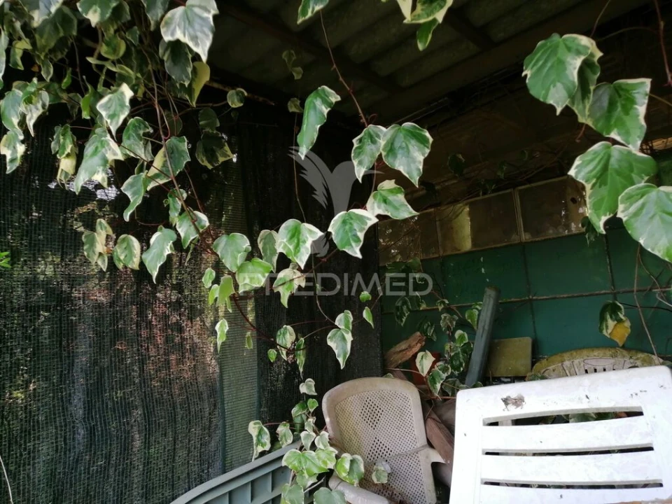 Terreno para Venda em Igreja Nova e Cheleiros Foto 7