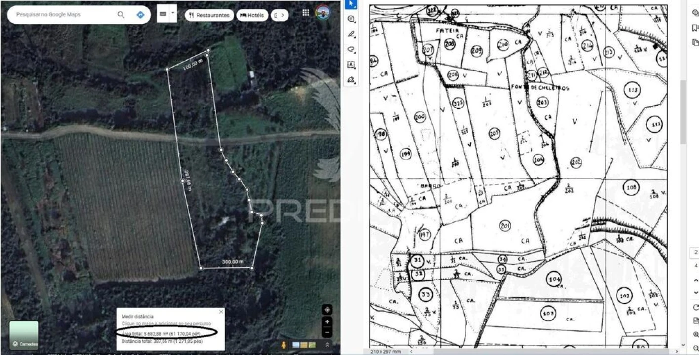 Terreno para Venda em Igreja Nova e Cheleiros Foto 14