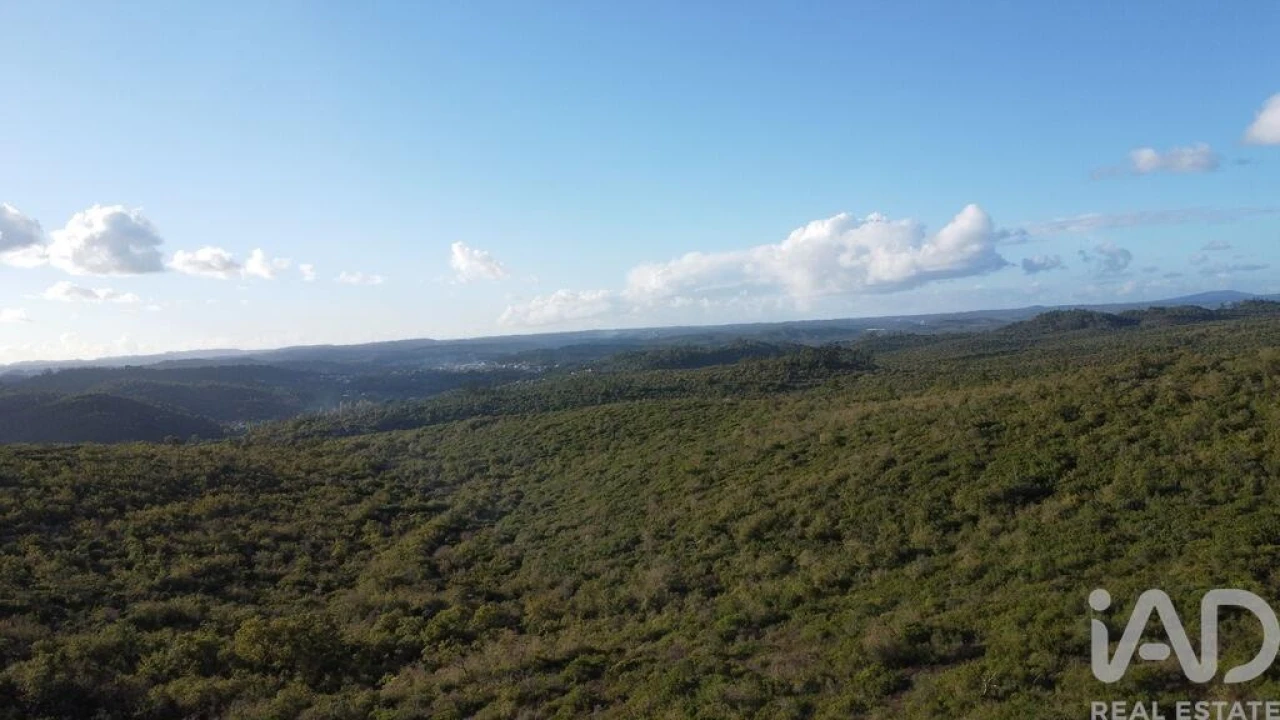 Terreno para Venda em Freixianda, Ribeira do Fárrio e Formigais Foto 3