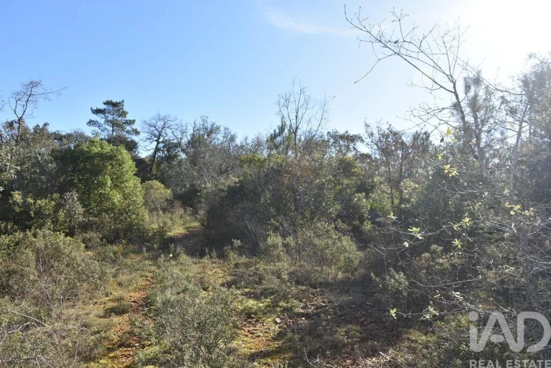 Terreno para Venda em Freixianda, Ribeira do Fárrio e Formigais Foto 34