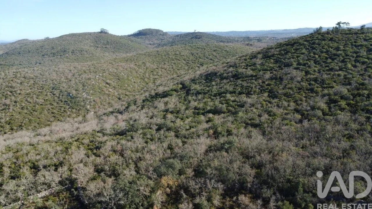 Terreno para Venda em Freixianda, Ribeira do Fárrio e Formigais Foto 6