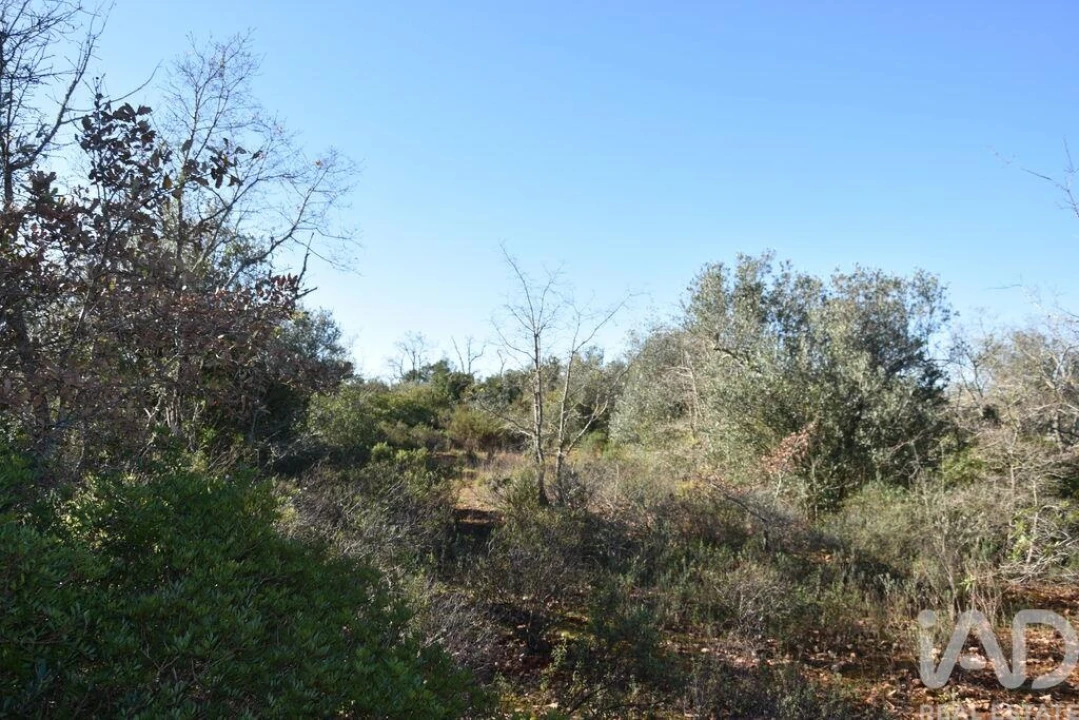 Terreno para Venda em Freixianda, Ribeira do Fárrio e Formigais Foto 30