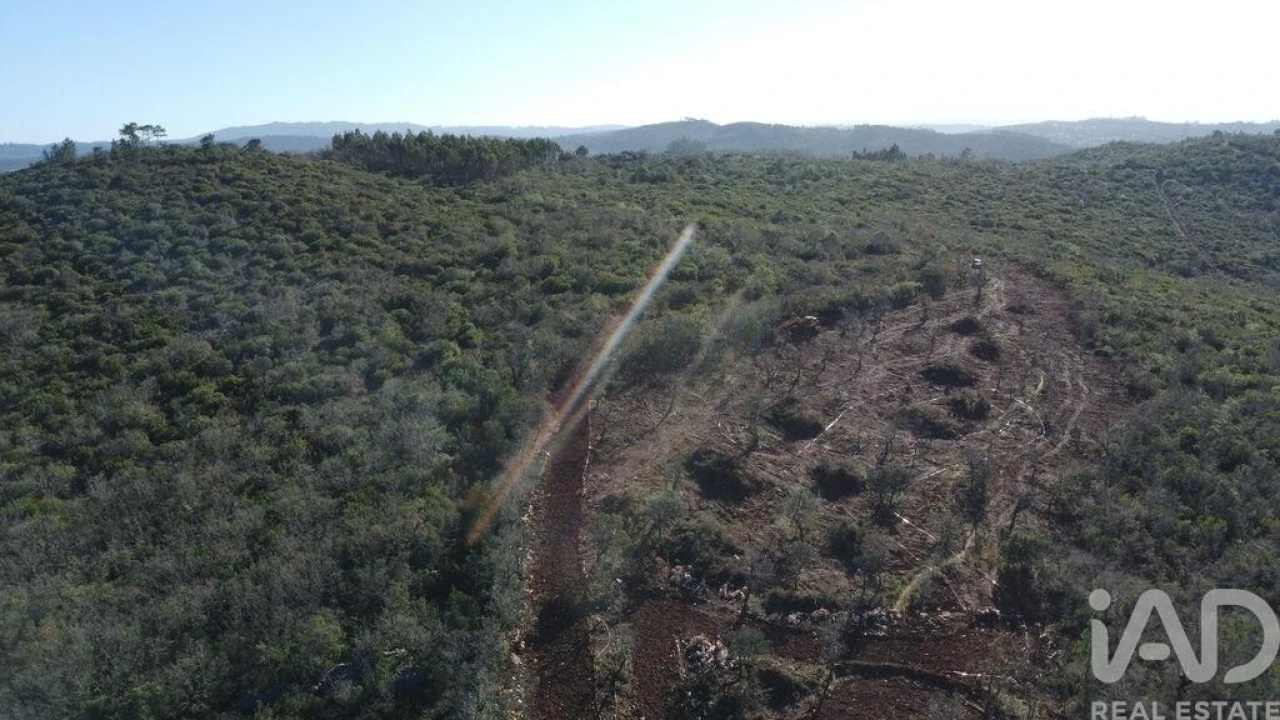 Terreno para Venda em Freixianda, Ribeira do Fárrio e Formigais Foto 7