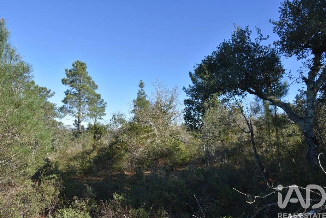 Terreno para Venda em Freixianda, Ribeira do Fárrio e Formigais Foto 32