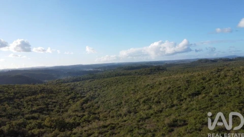 Terreno para Venda em Freixianda, Ribeira do Fárrio e Formigais