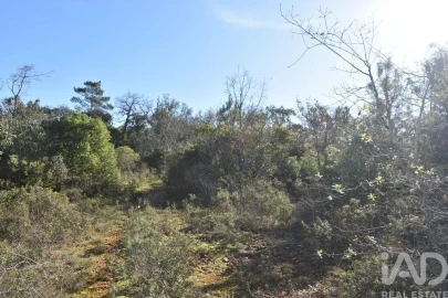 Terreno para Venda em Freixianda, Ribeira do Fárrio e Formigais