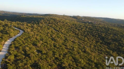 Terreno para Venda em Freixianda, Ribeira do Fárrio e Formigais