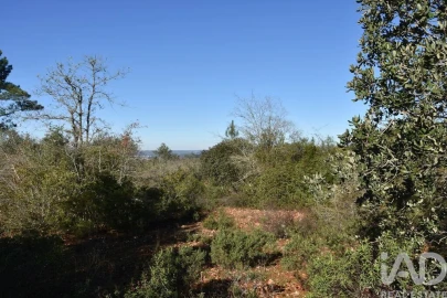 Terreno para Venda em Freixianda, Ribeira do Fárrio e Formigais