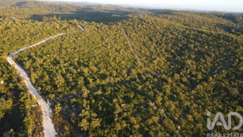 Terreno para Venda em Freixianda, Ribeira do Fárrio e Formigais