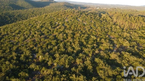 Terreno para Venda em Freixianda, Ribeira do Fárrio e Formigais