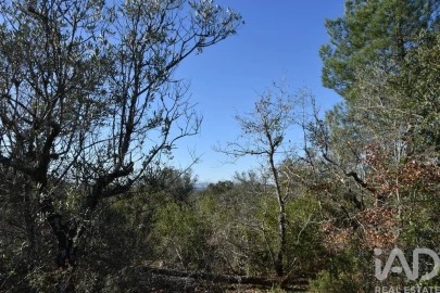 Terreno para Venda em Freixianda, Ribeira do Fárrio e Formigais