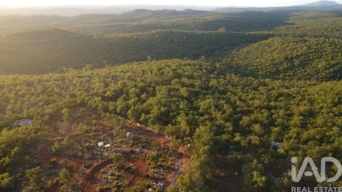 Terreno para Venda em Freixianda, Ribeira do Fárrio e Formigais