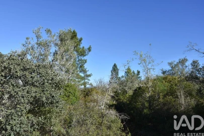 Terreno para Venda em Freixianda, Ribeira do Fárrio e Formigais