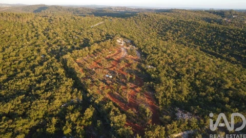 Terreno para Venda em Freixianda, Ribeira do Fárrio e Formigais