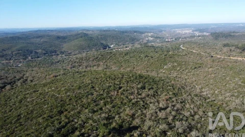 Terreno para Venda em Freixianda, Ribeira do Fárrio e Formigais