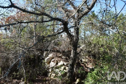 Terreno para Venda em Freixianda, Ribeira do Fárrio e Formigais