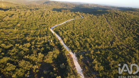 Terreno para Venda em Freixianda, Ribeira do Fárrio e Formigais