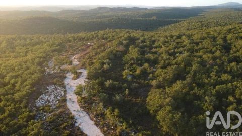 Terreno para Venda em Freixianda, Ribeira do Fárrio e Formigais