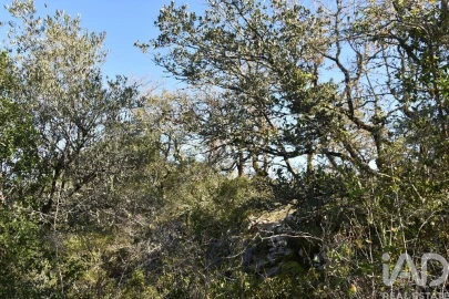 Terreno para Venda em Freixianda, Ribeira do Fárrio e Formigais