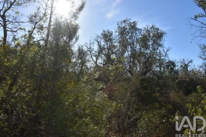 Terreno para Venda em Freixianda, Ribeira do Fárrio e Formigais