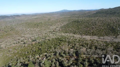 Terreno para Venda em Freixianda, Ribeira do Fárrio e Formigais