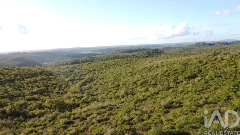 Terreno para Venda em Freixianda, Ribeira do Fárrio e Formigais