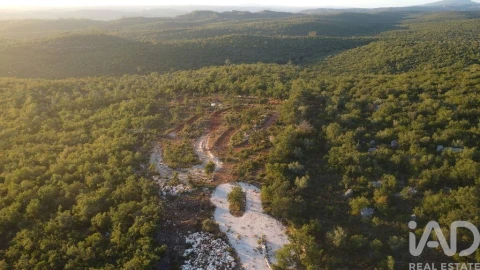 Terreno para Venda em Freixianda, Ribeira do Fárrio e Formigais