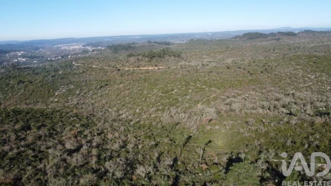Terreno para Venda em Freixianda, Ribeira do Fárrio e Formigais
