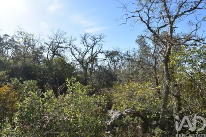 Terreno para Venda em Freixianda, Ribeira do Fárrio e Formigais