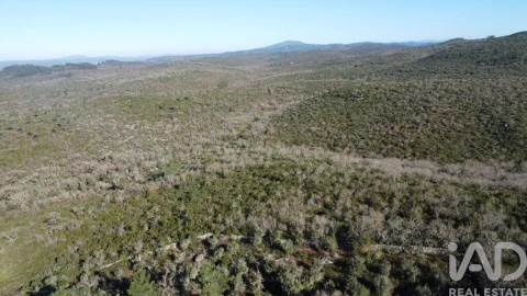 Terreno para Venda em Freixianda, Ribeira do Fárrio e Formigais