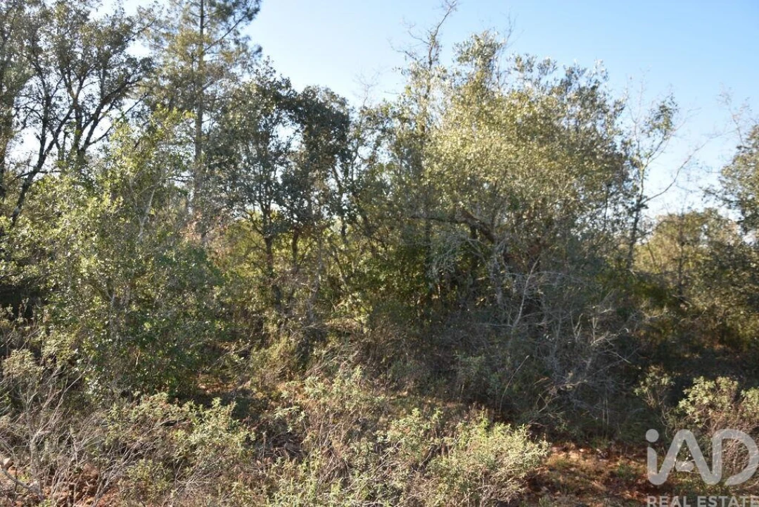 Terreno para Venda em Freixianda, Ribeira do Fárrio e Formigais Foto 26