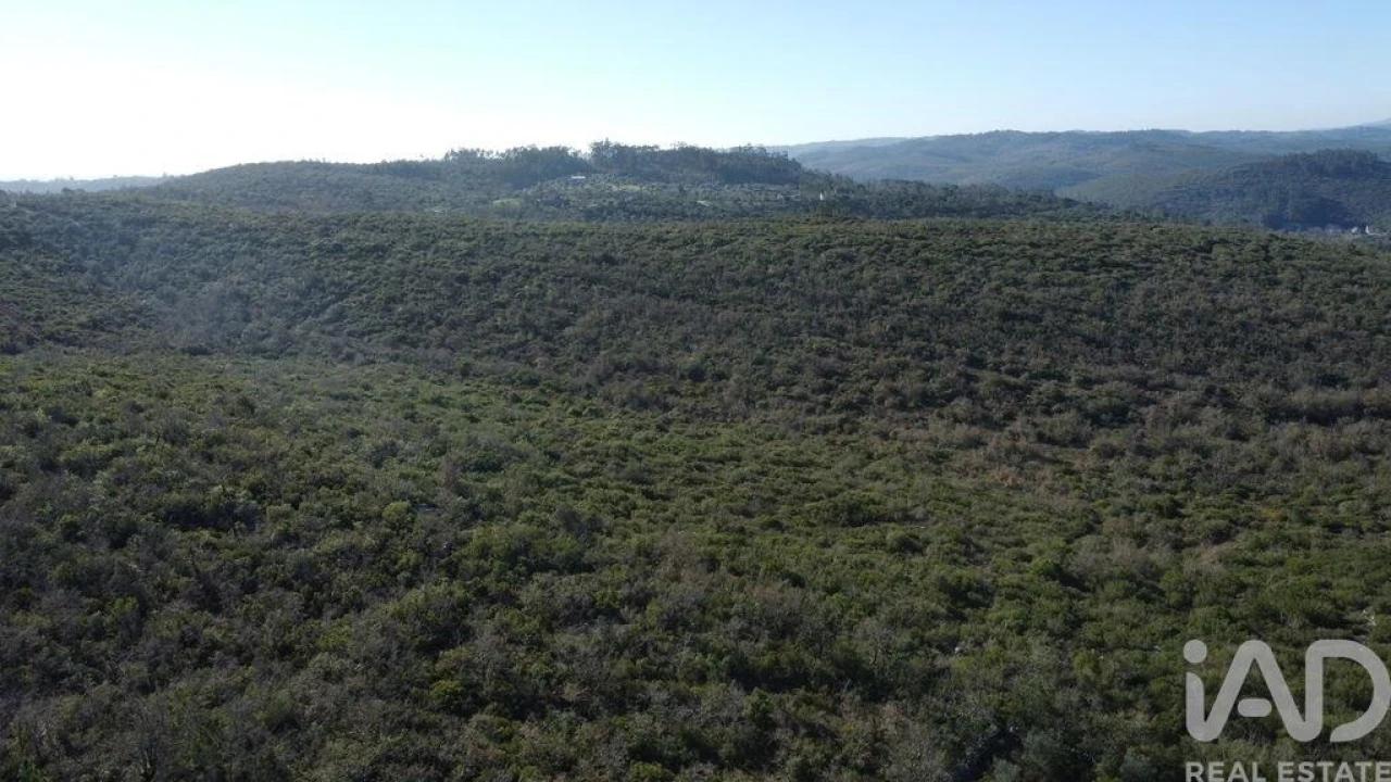 Terreno para Venda em Freixianda, Ribeira do Fárrio e Formigais Foto 8