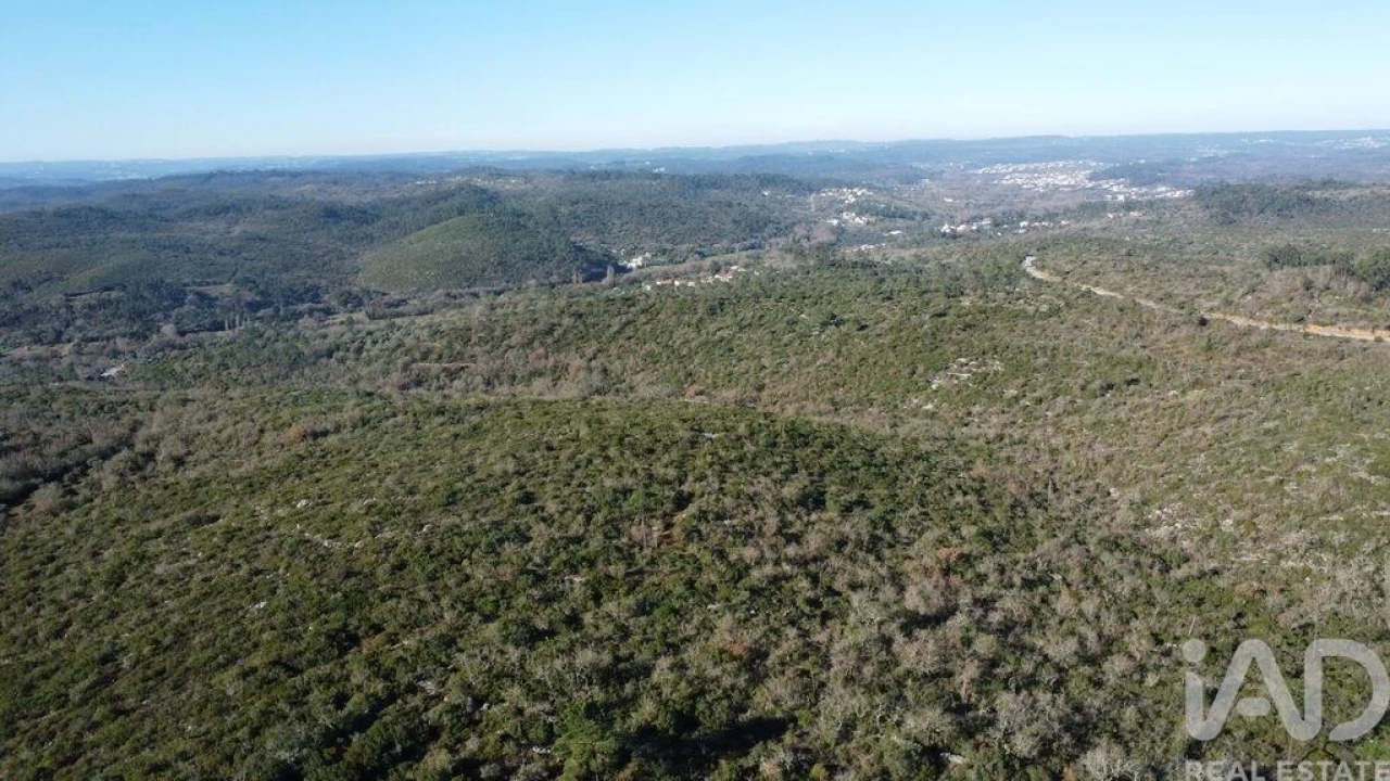 Terreno para Venda em Freixianda, Ribeira do Fárrio e Formigais Foto 39