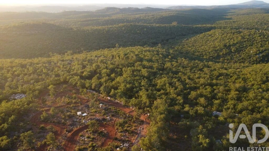 Terreno para Venda em Freixianda, Ribeira do Fárrio e Formigais Foto 4