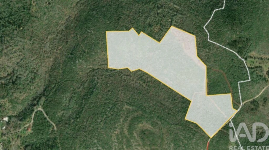 Terreno para Venda em Freixianda, Ribeira do Fárrio e Formigais Foto 38
