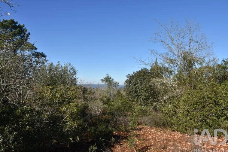 Terreno para Venda em Freixianda, Ribeira do Fárrio e Formigais Foto 31
