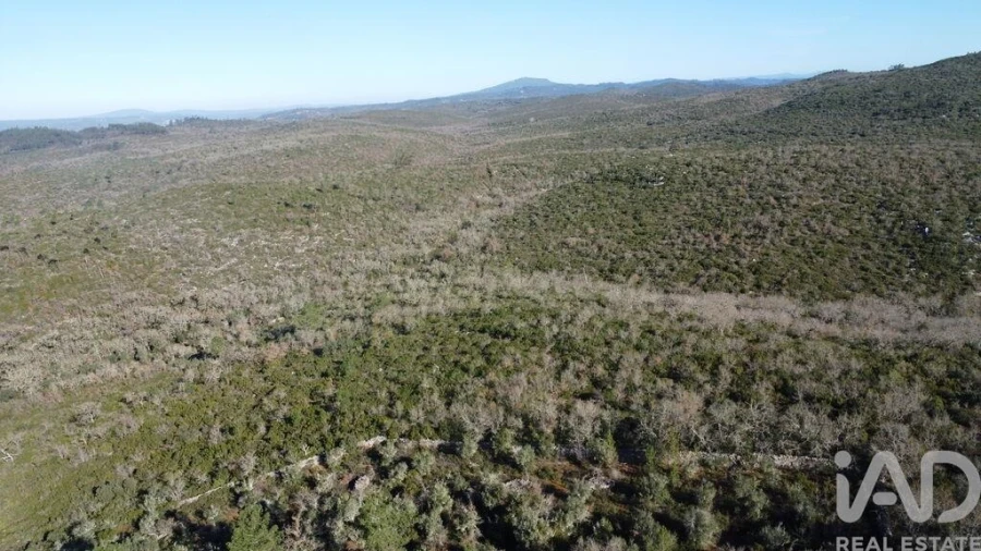 Terreno para Venda em Freixianda, Ribeira do Fárrio e Formigais Foto 5