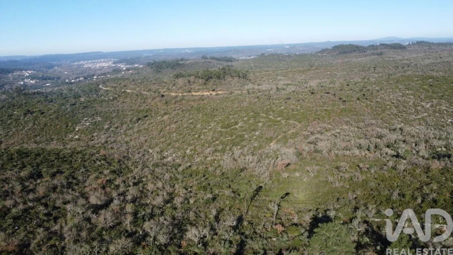 Terreno para Venda em Freixianda, Ribeira do Fárrio e Formigais Foto 4