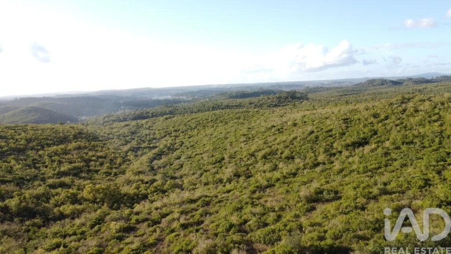 Terreno para Venda em Freixianda, Ribeira do Fárrio e Formigais Foto 2