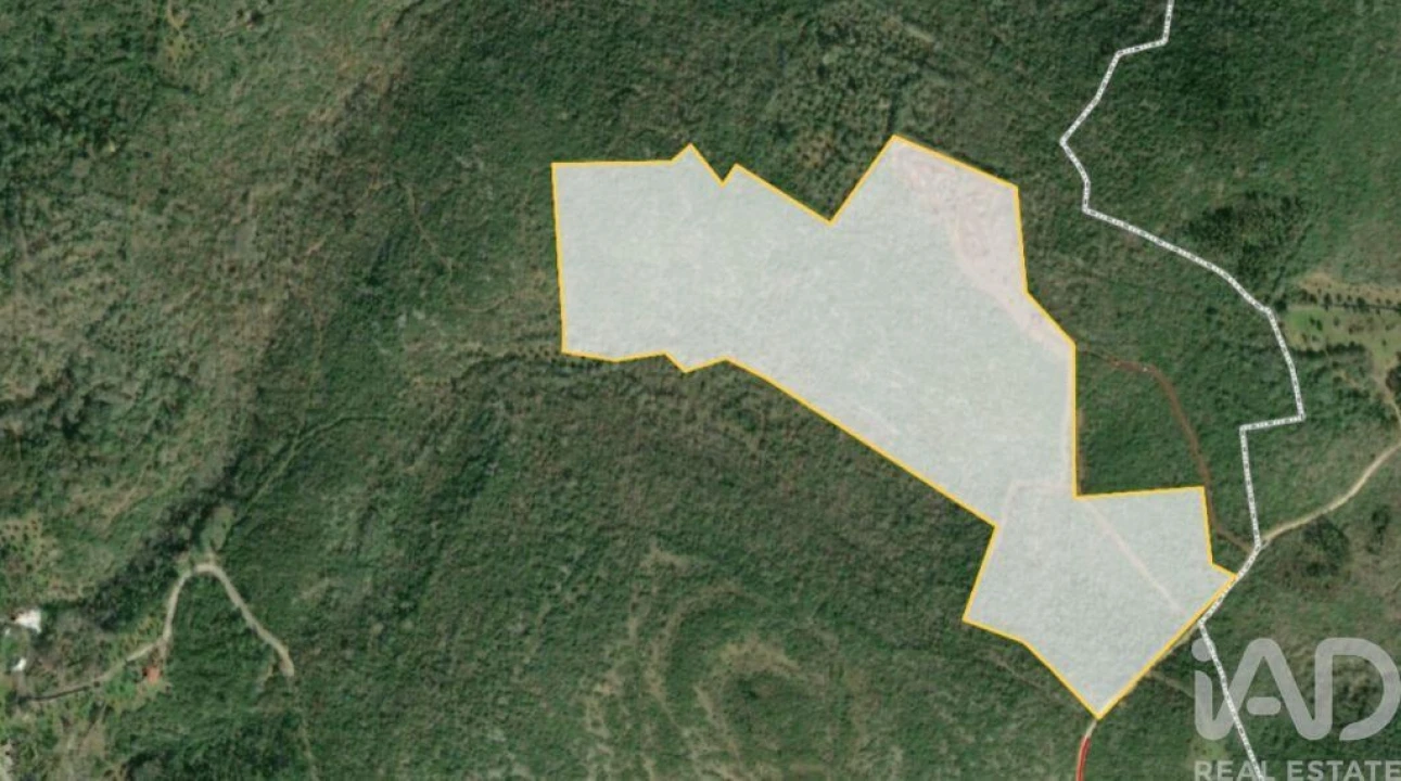 Terreno para Venda em Freixianda, Ribeira do Fárrio e Formigais Foto 38