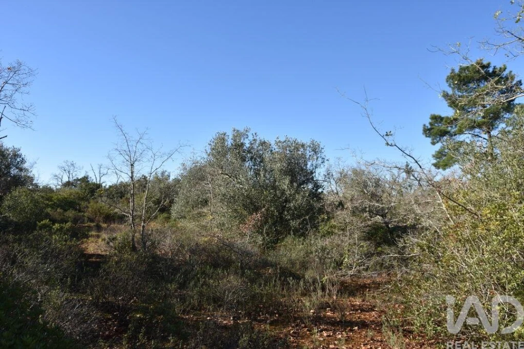 Terreno para Venda em Freixianda, Ribeira do Fárrio e Formigais Foto 29
