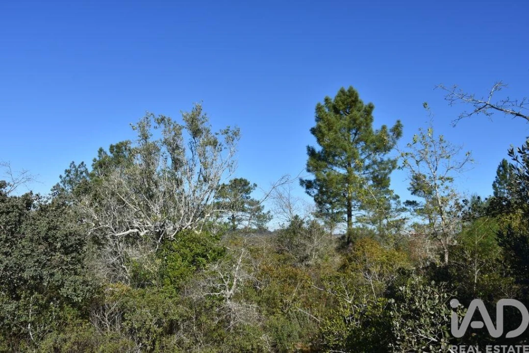 Terreno para Venda em Freixianda, Ribeira do Fárrio e Formigais Foto 23