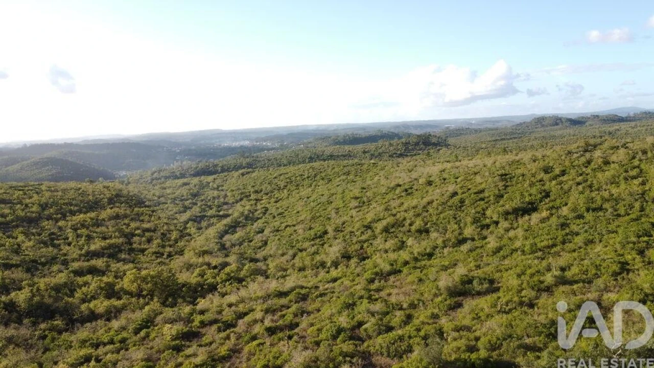 Terreno para Venda em Freixianda, Ribeira do Fárrio e Formigais Foto 1